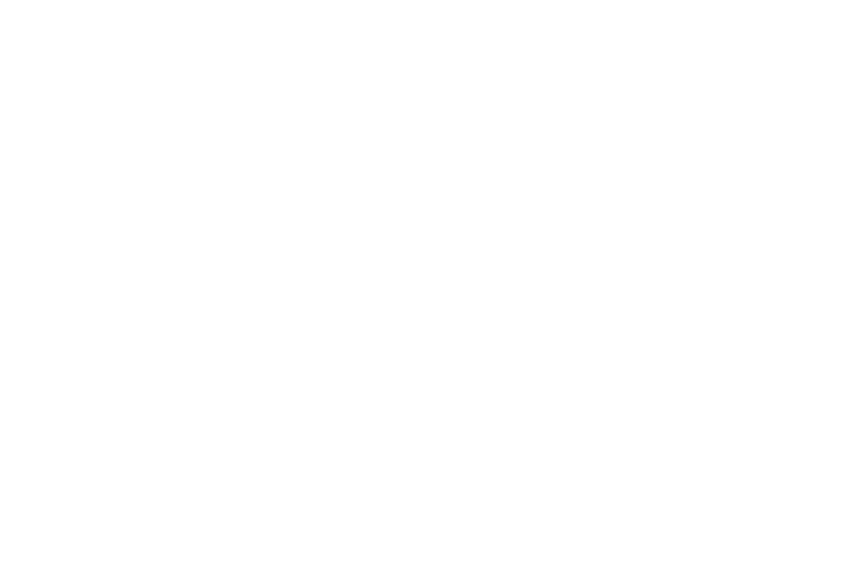 Empty image with a white background, no recognizable details or content.